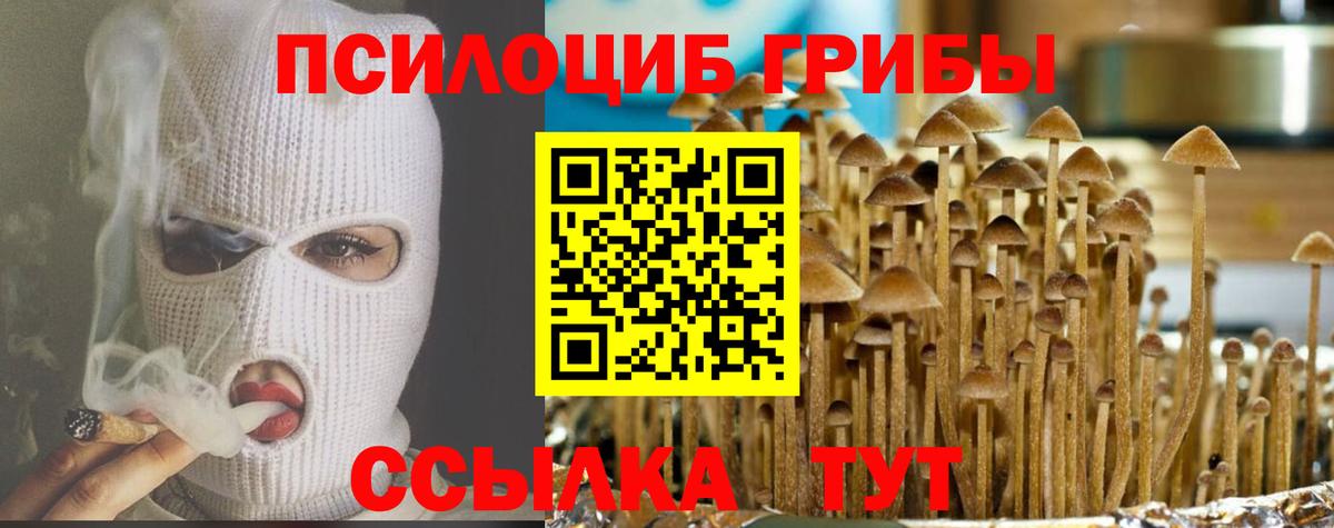 Псилоцибиновые грибы Magic Shrooms  Псилоцибиновые грибы ЛСД  Вход с VPN  Стерлитамак 